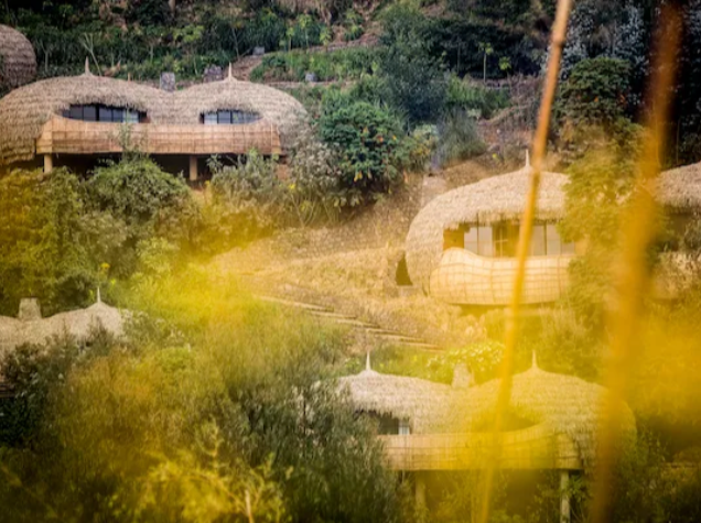 Bisate Lodge, Volcanoes National Park, Rwanda