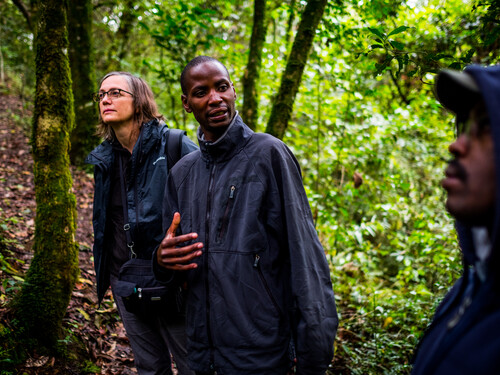 Batwa guide leading visitors along a forest trail in Mgahinga Gorilla National Park