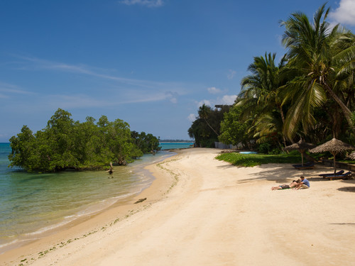 Indian Ocean beach fringed with palms on Zanzibar
