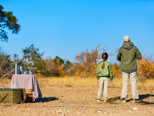 Bush breakfast laid out on the plains of the Serengeti