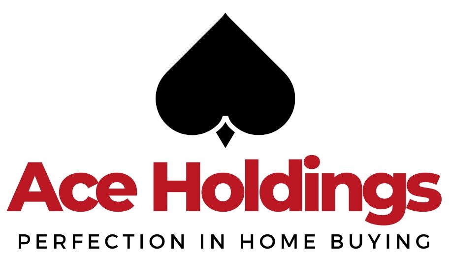 Ace Holdings GP Official logo