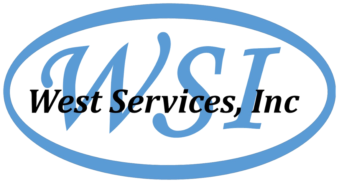 WSI