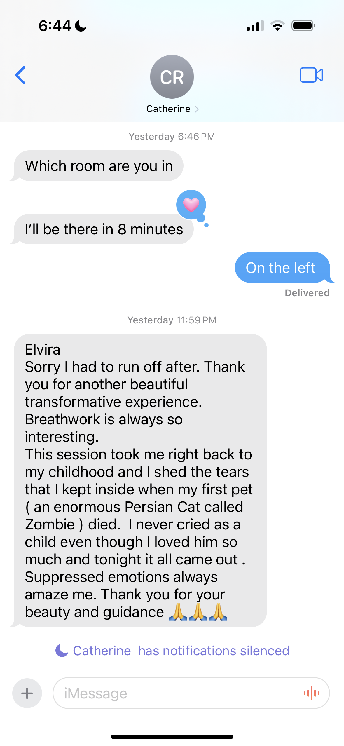 Client Testimonial