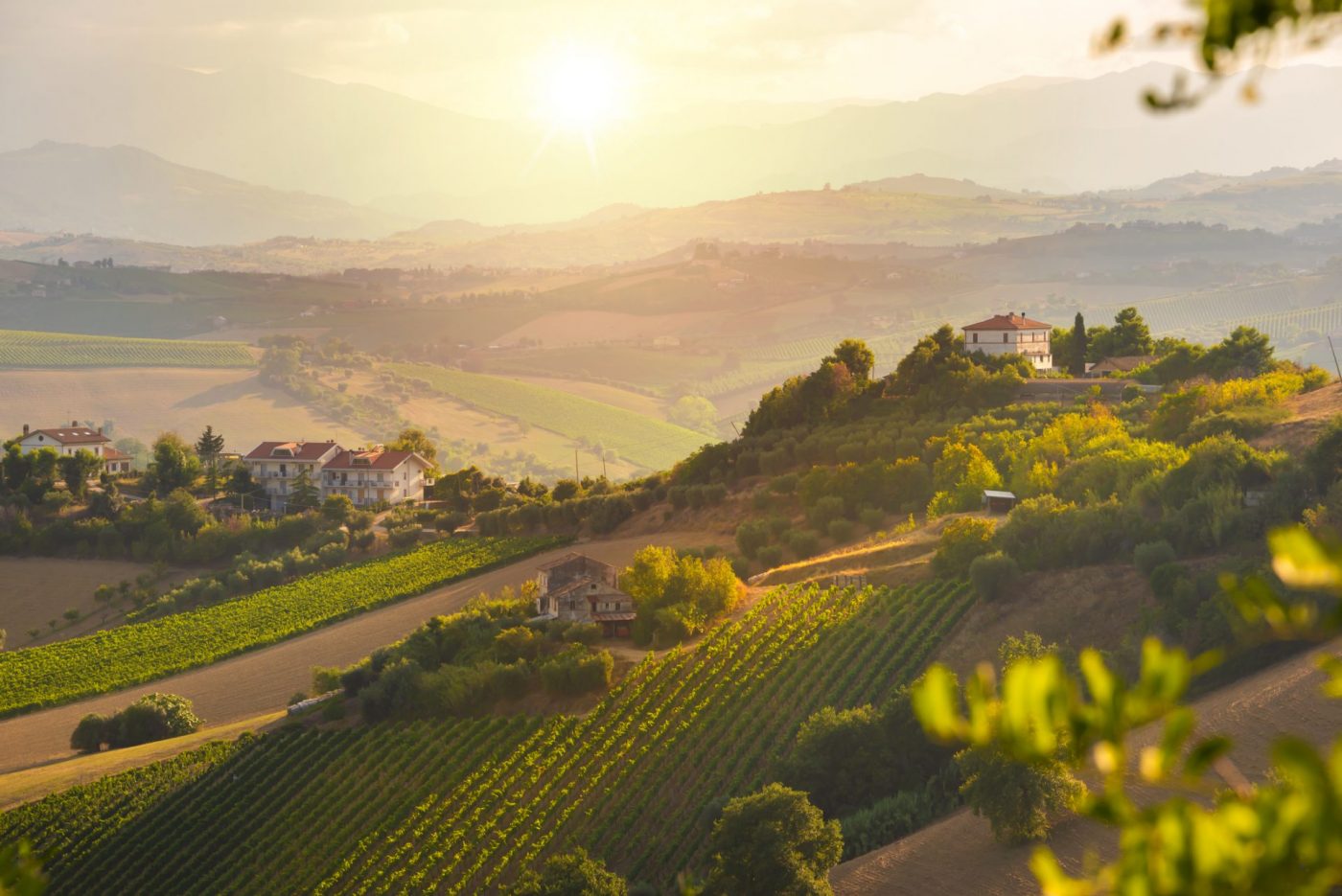Tuscany Landscape Background