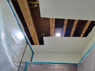 Mold Remediation in Taylor