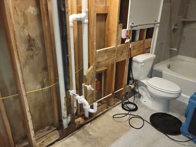 Mold Remediation in Hutto