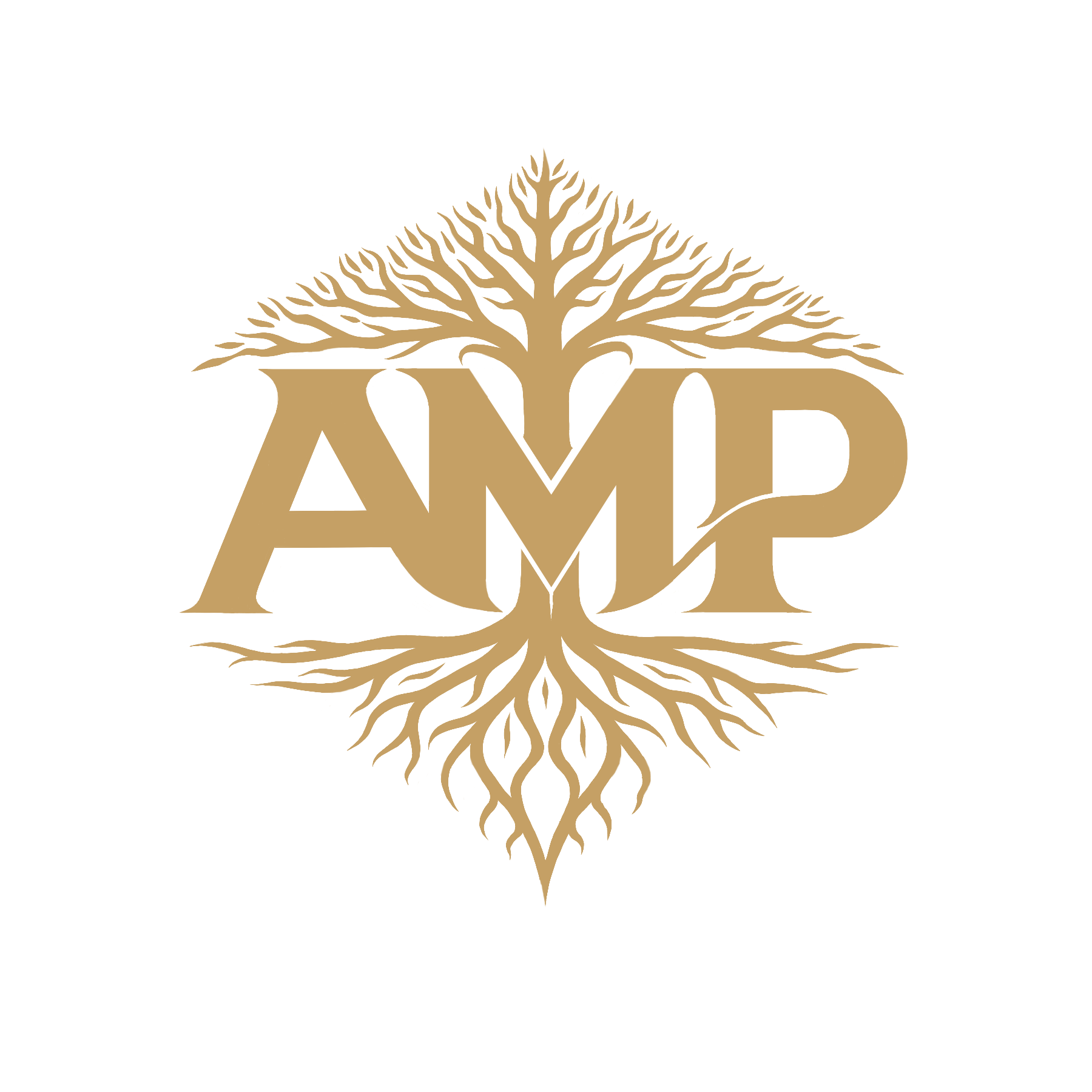 AMP Logo