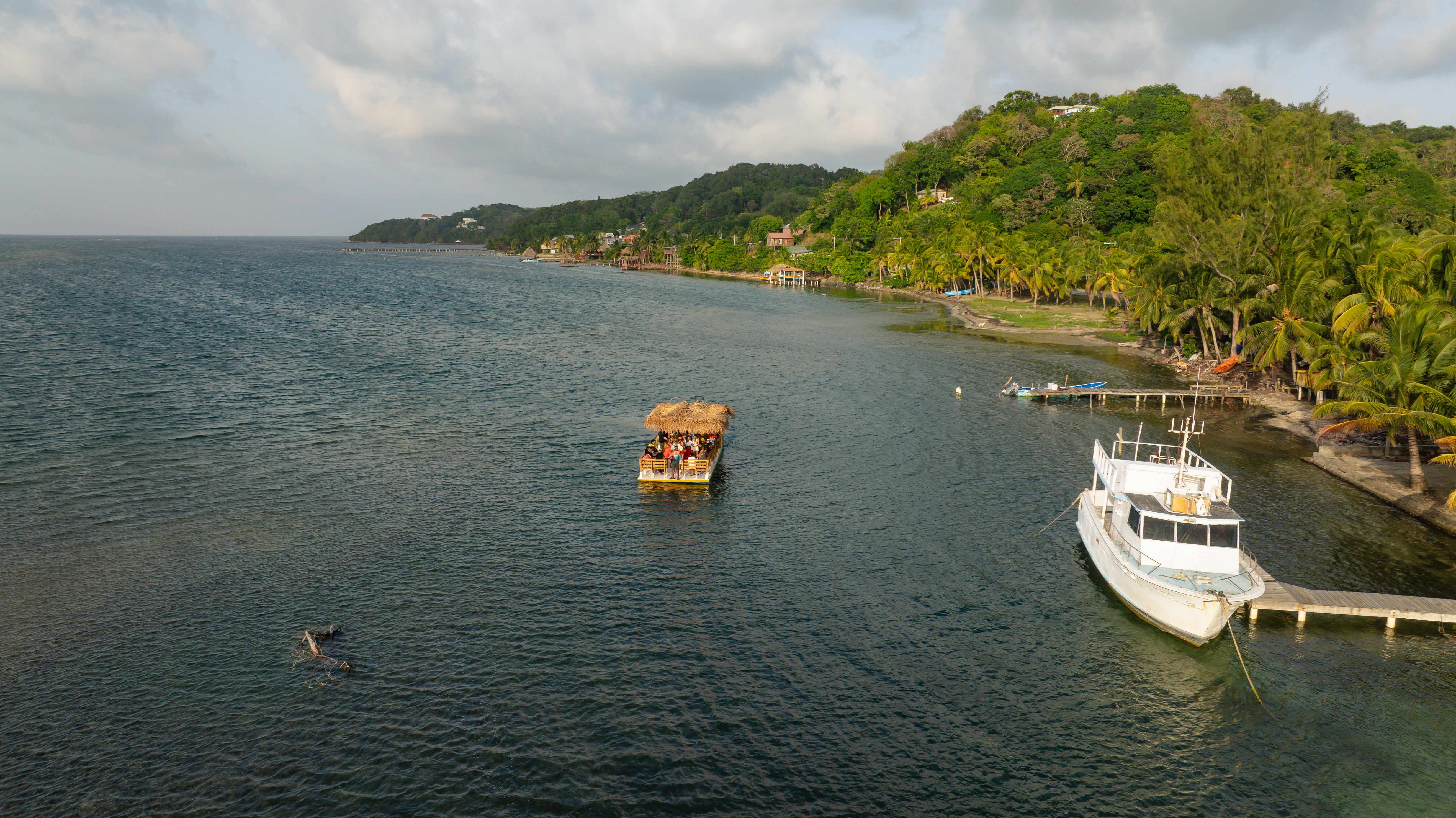 Roatan tour photo 6