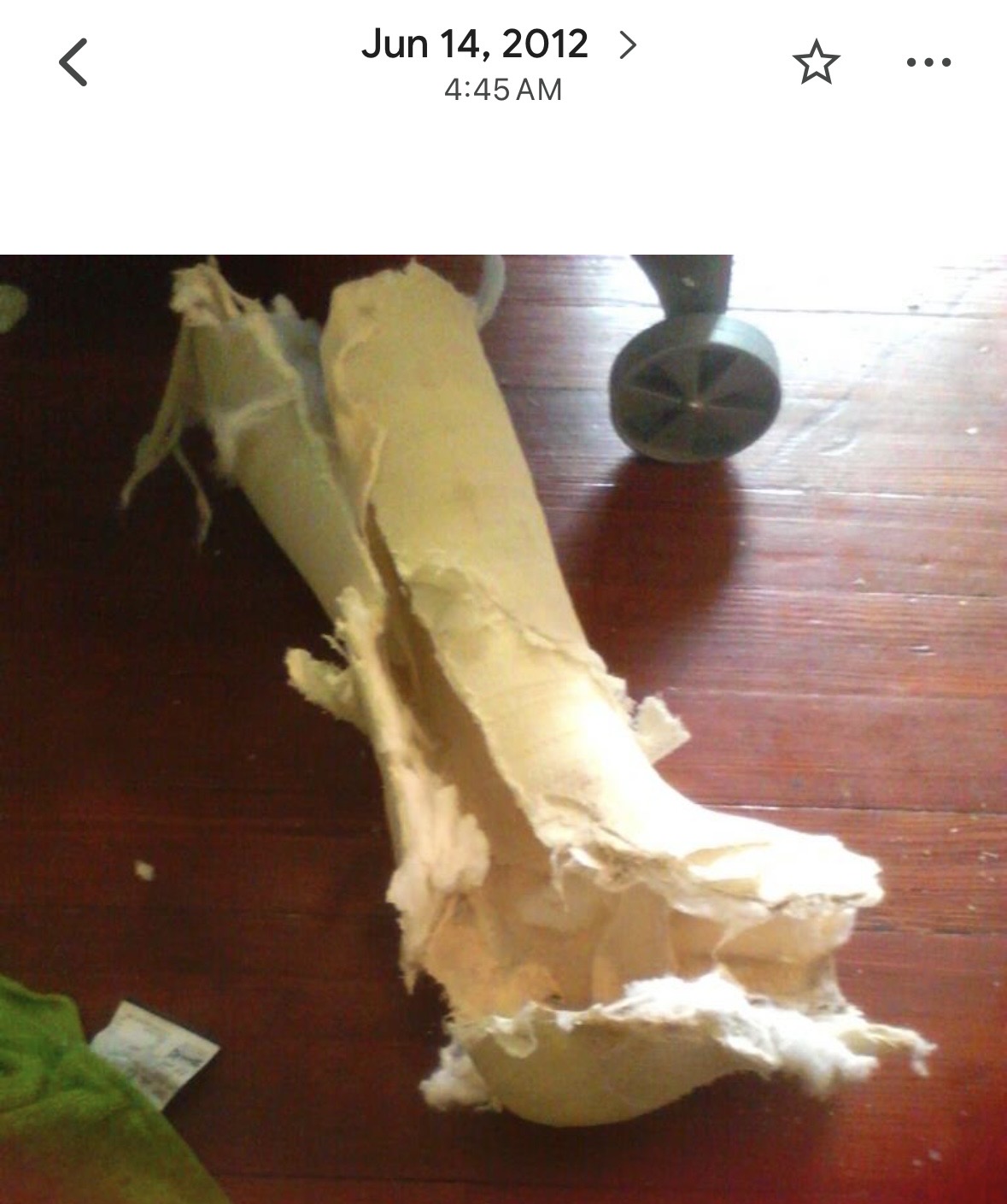 Yonni Red's cast after breaking her ankle