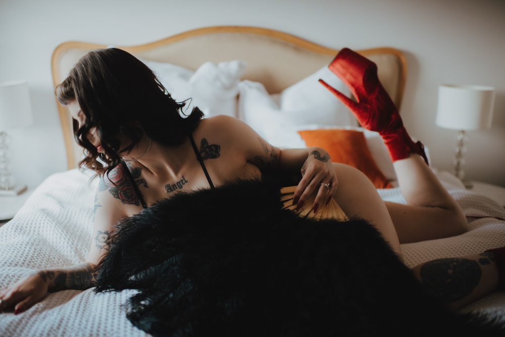 ostrich fan close on shot ostrich fan close on shot