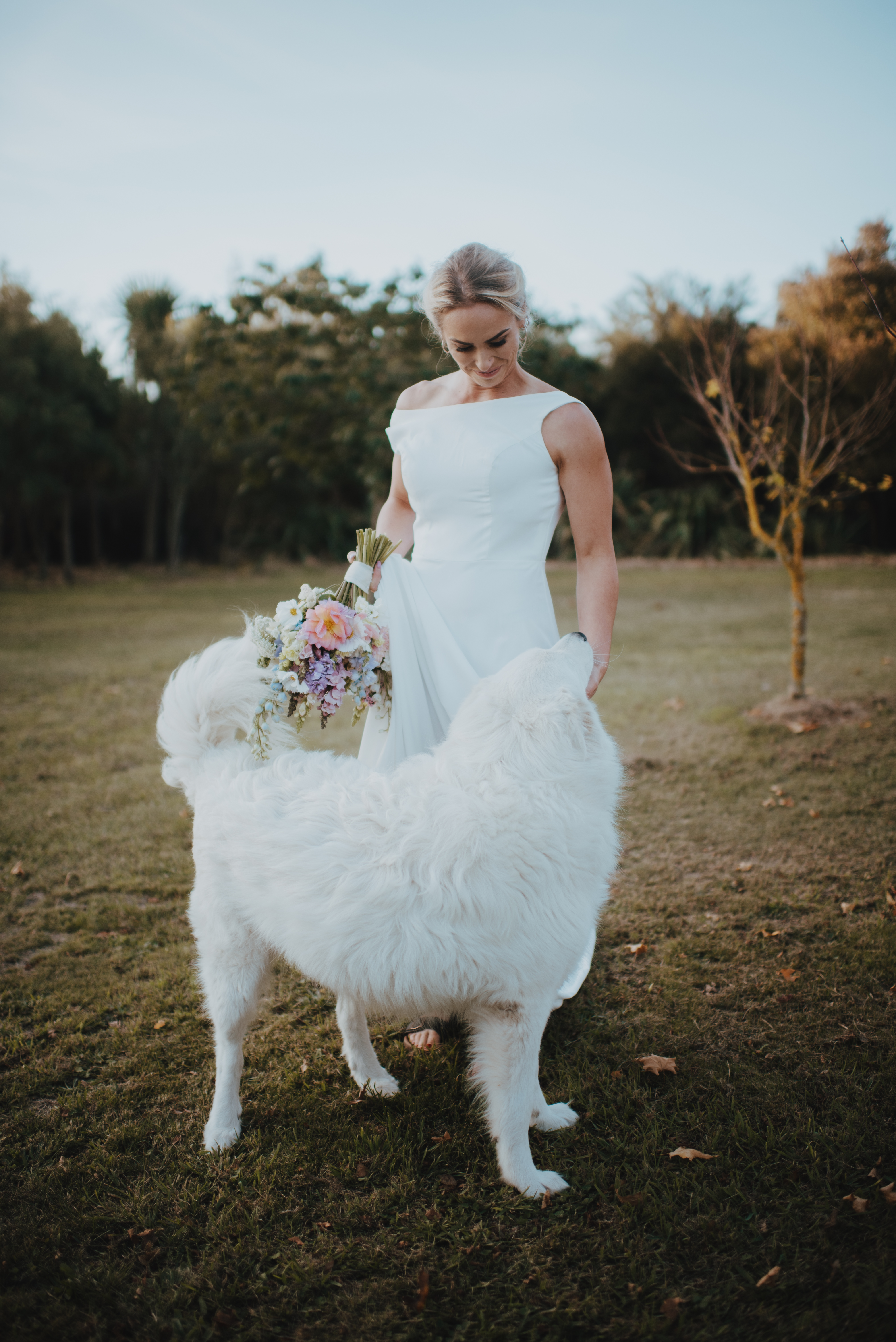 dog getting pats by the bride while she holds her bouquet dog getting pats by the bride while she holds her bouquet