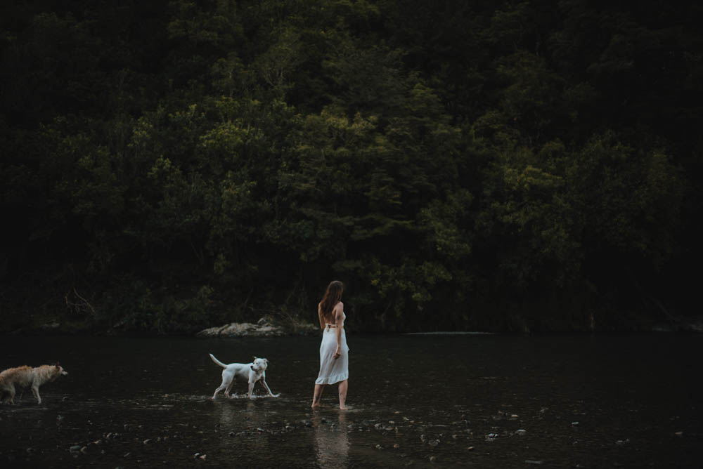 person wading through water in river with two dogs