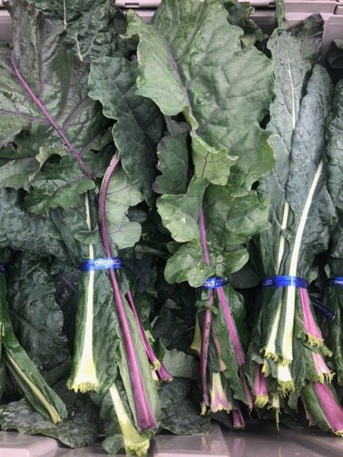 Kale Bunches