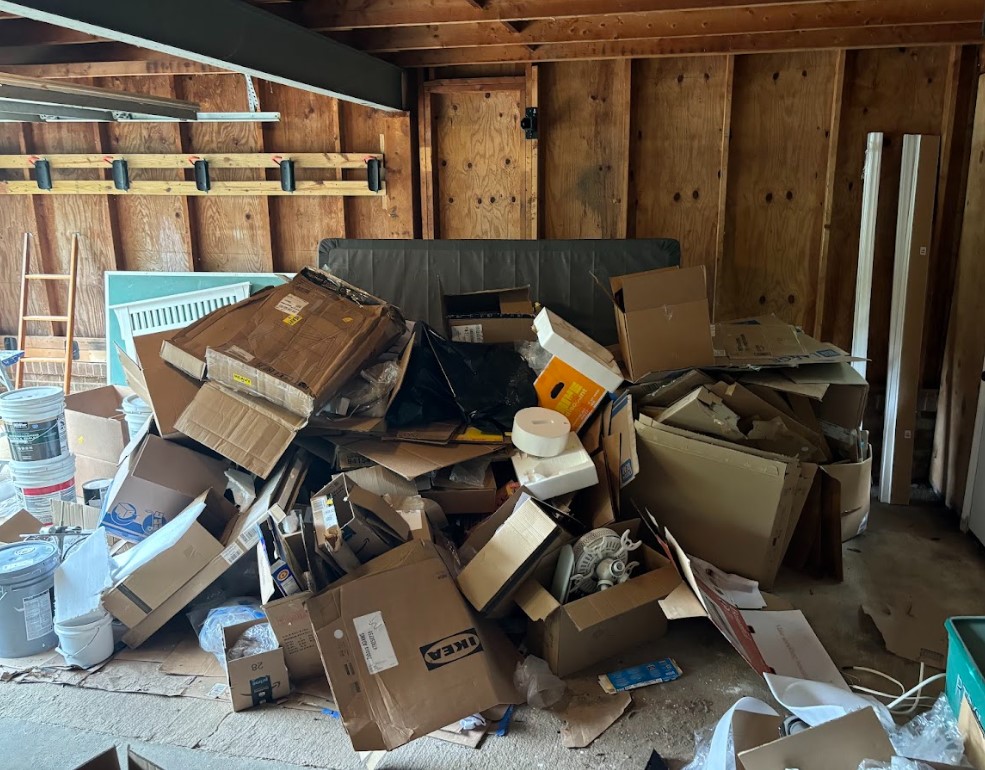 Before junk removal project