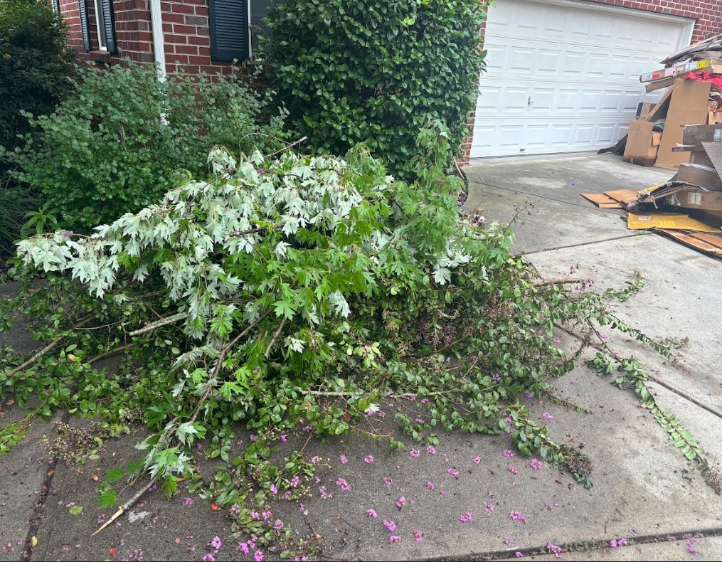 Before junk removal project