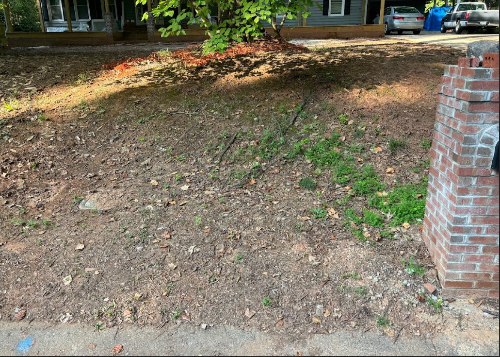 After junk removal project