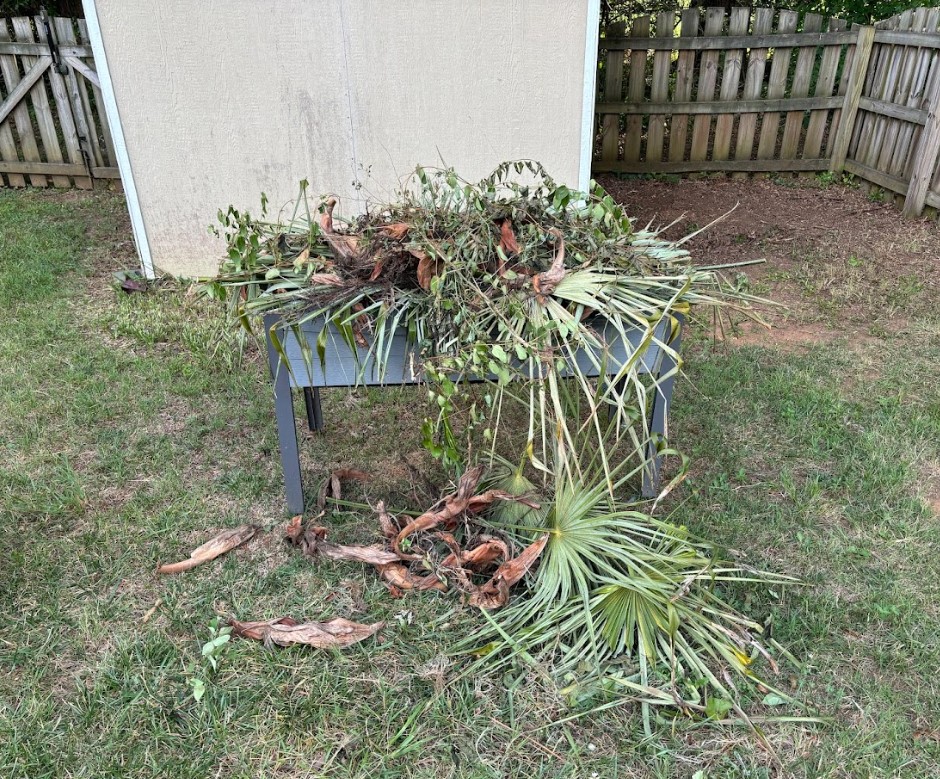 Before junk removal project