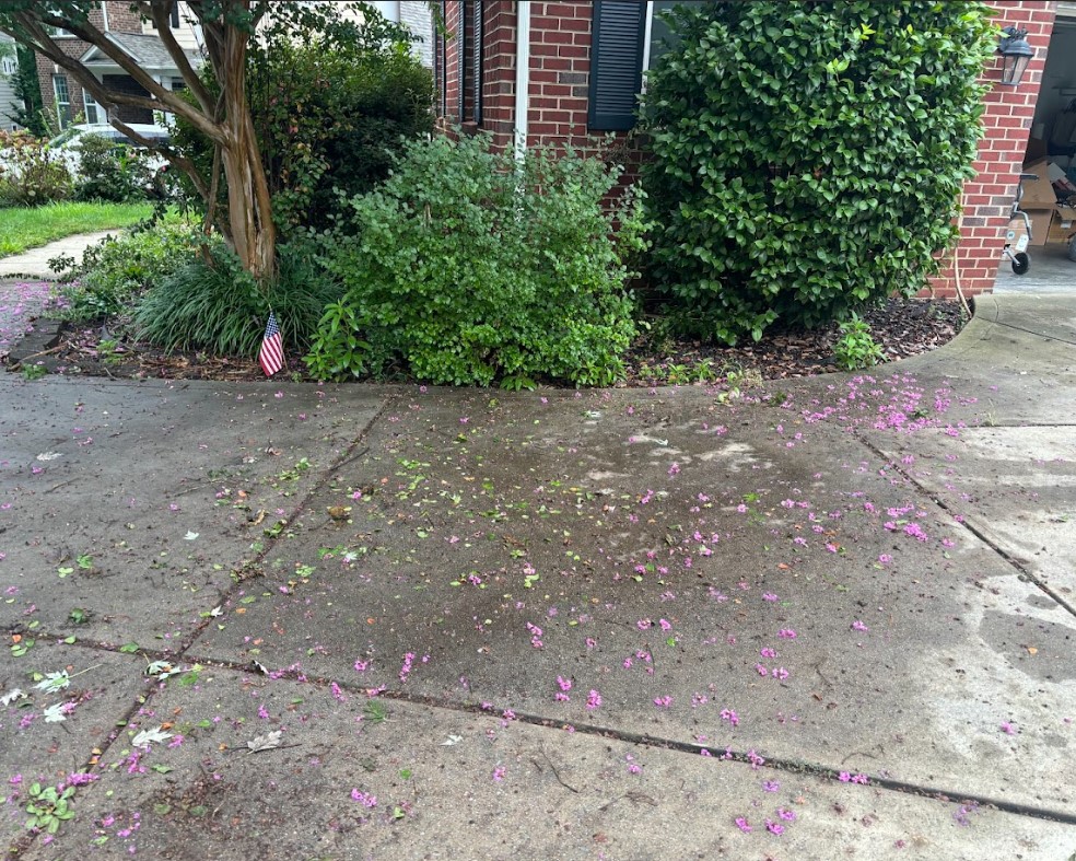 After junk removal project