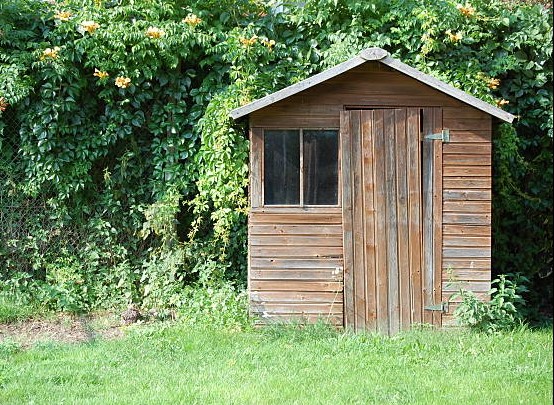  Residential Junk Removal & Cleanouts