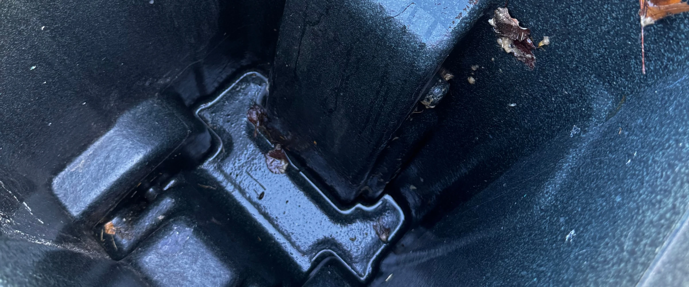 Inside a dark, textured container showing standing water with leaf debris at the bottom, reflecting light. Inside a dark, textured container showing standing water with leaf debris at the bottom, reflecting light.