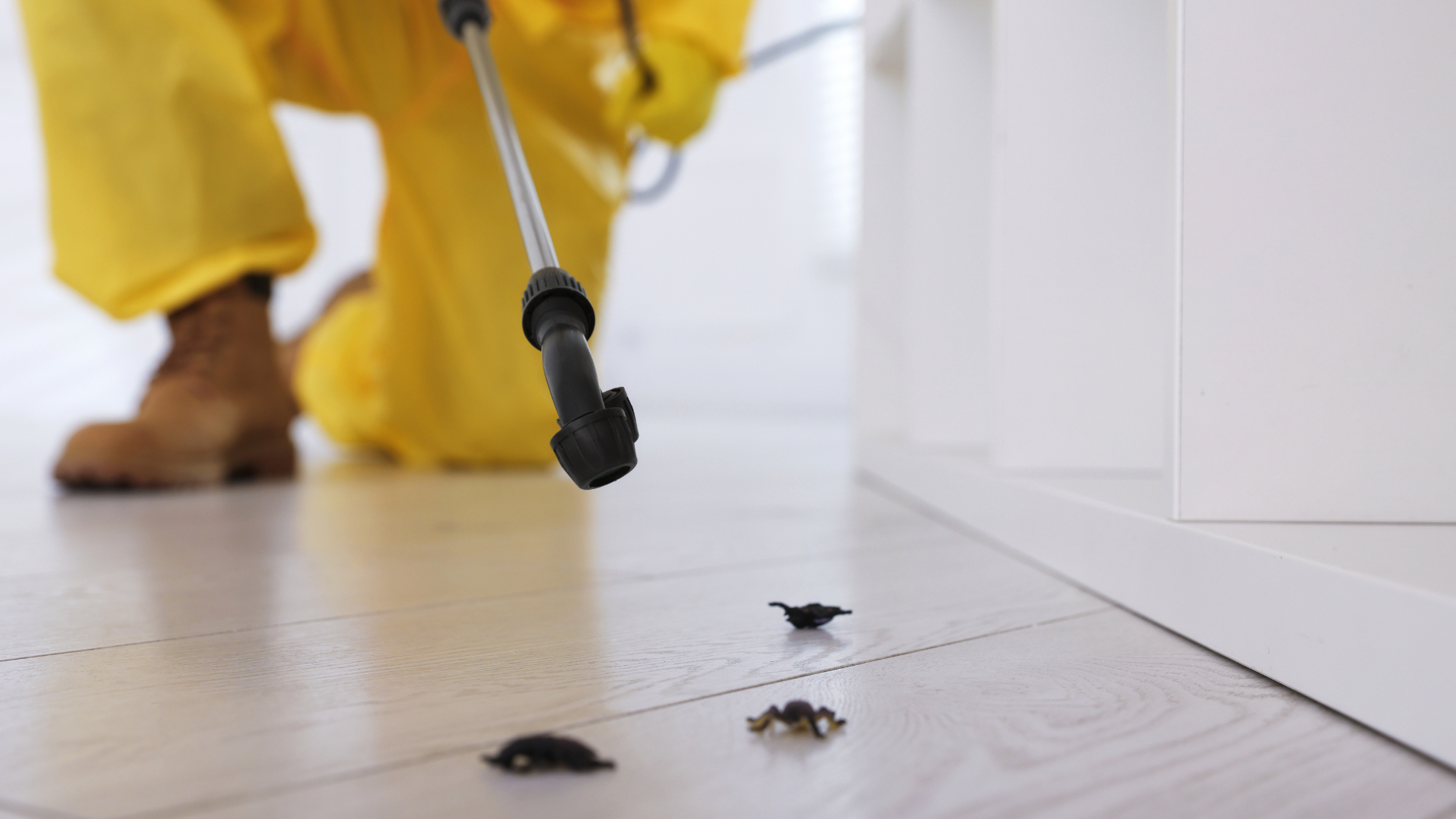 Pest Control