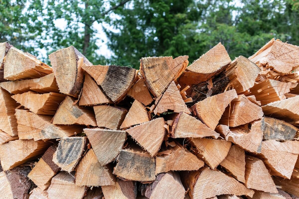 Firewood