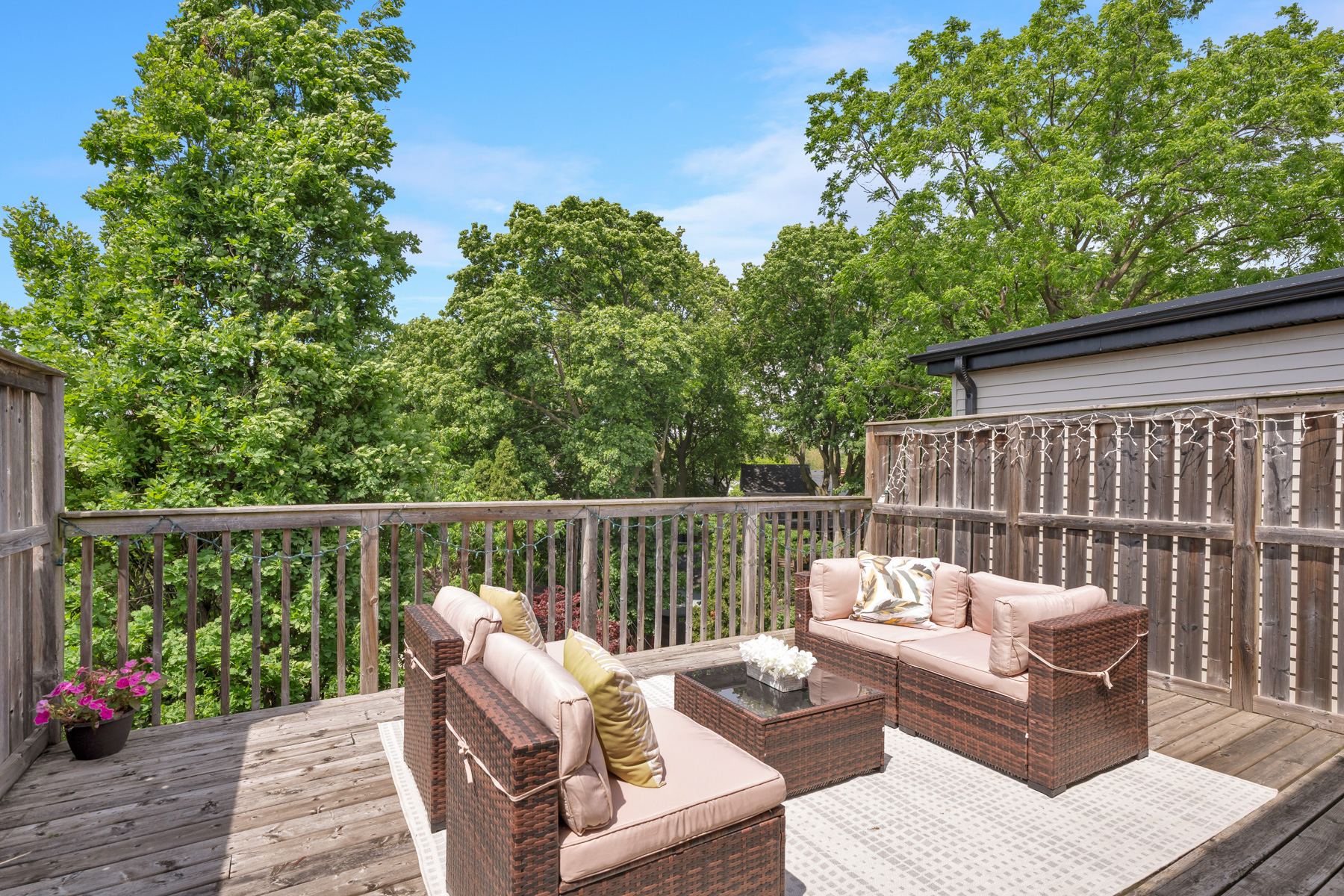 Third floor patio above the treetops