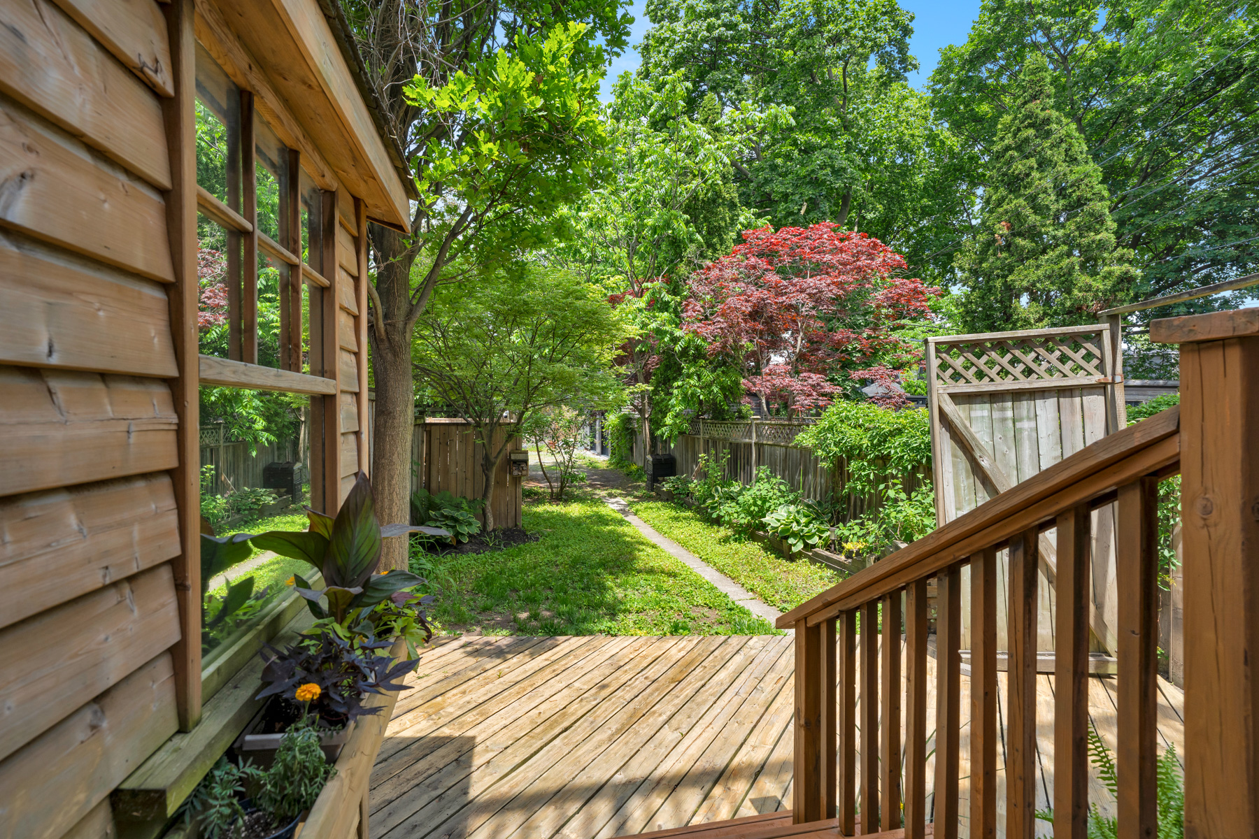 Rear yard view