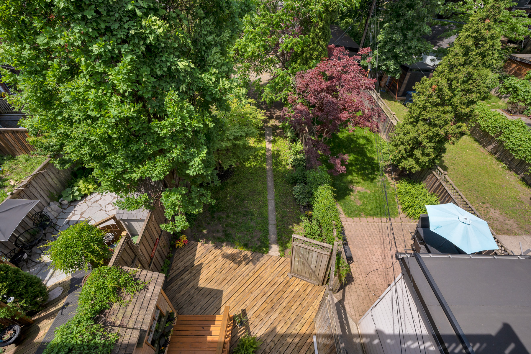 Rear yard and garden