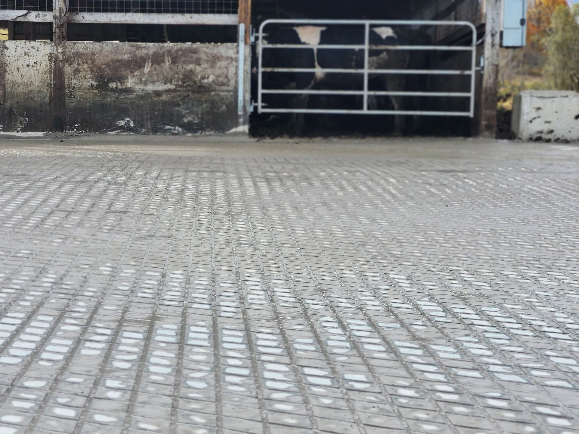 Concrete Grooving Work