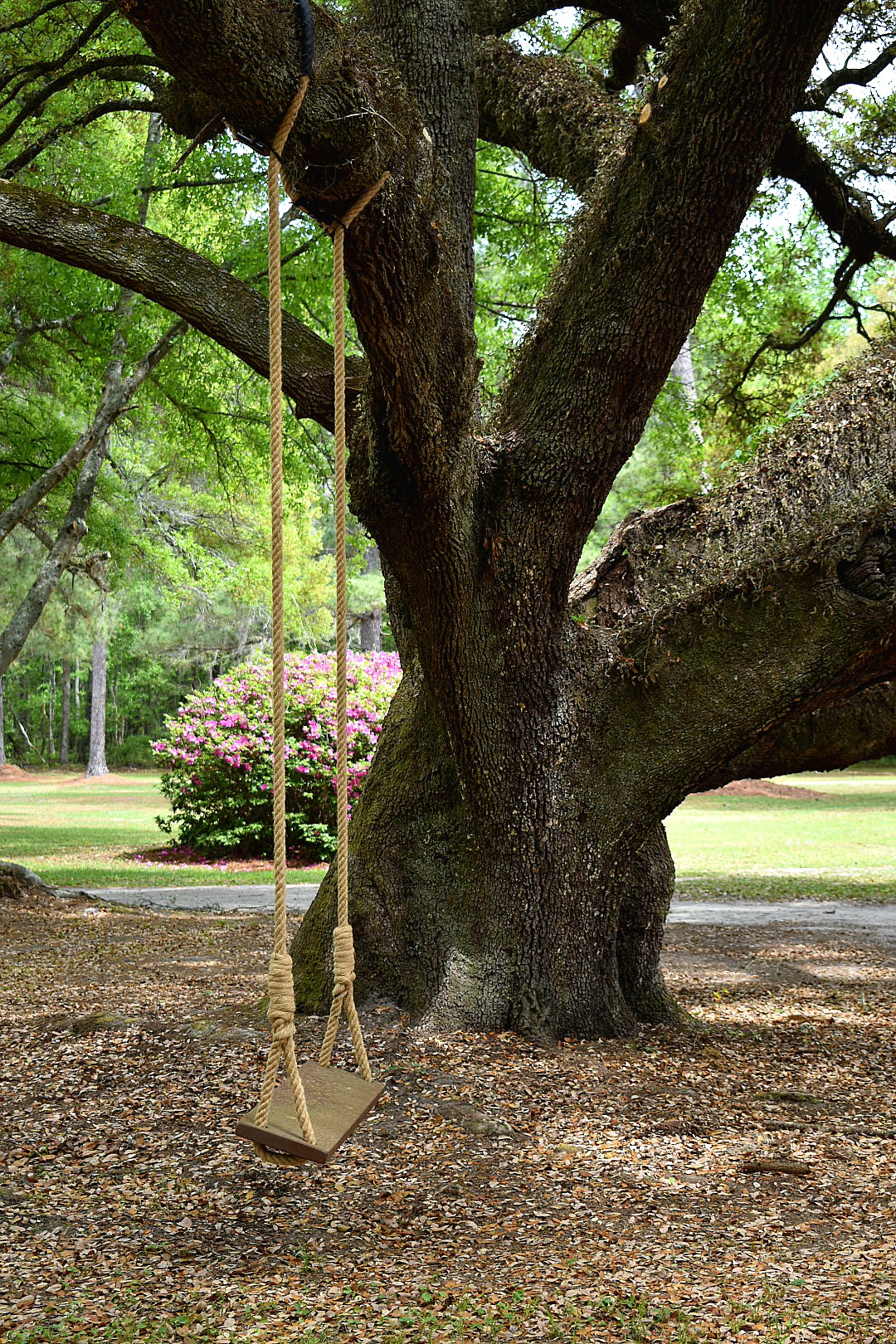 The Butterfly Garden at Rip Raps