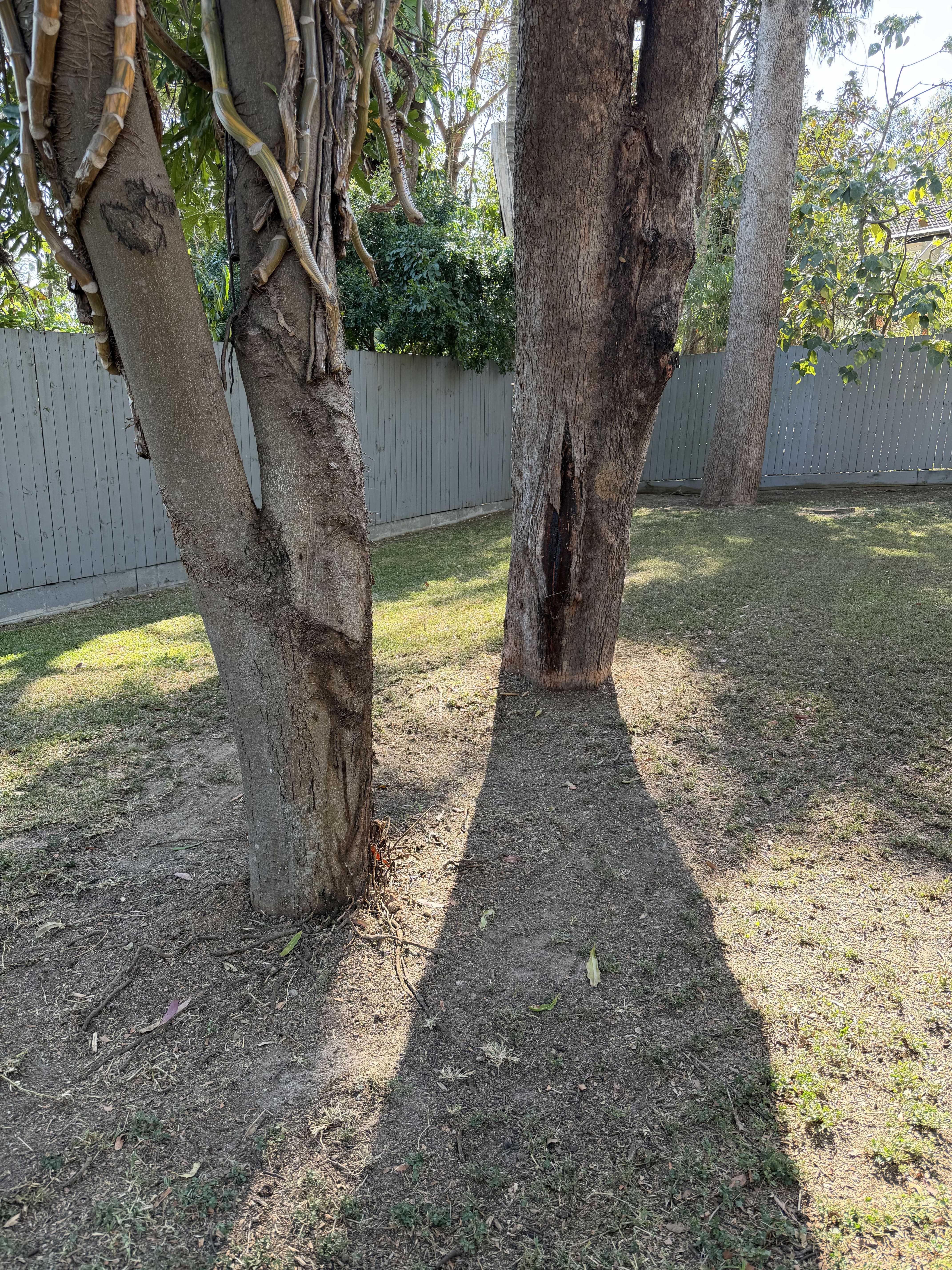 Yard Cleaning Brisbane