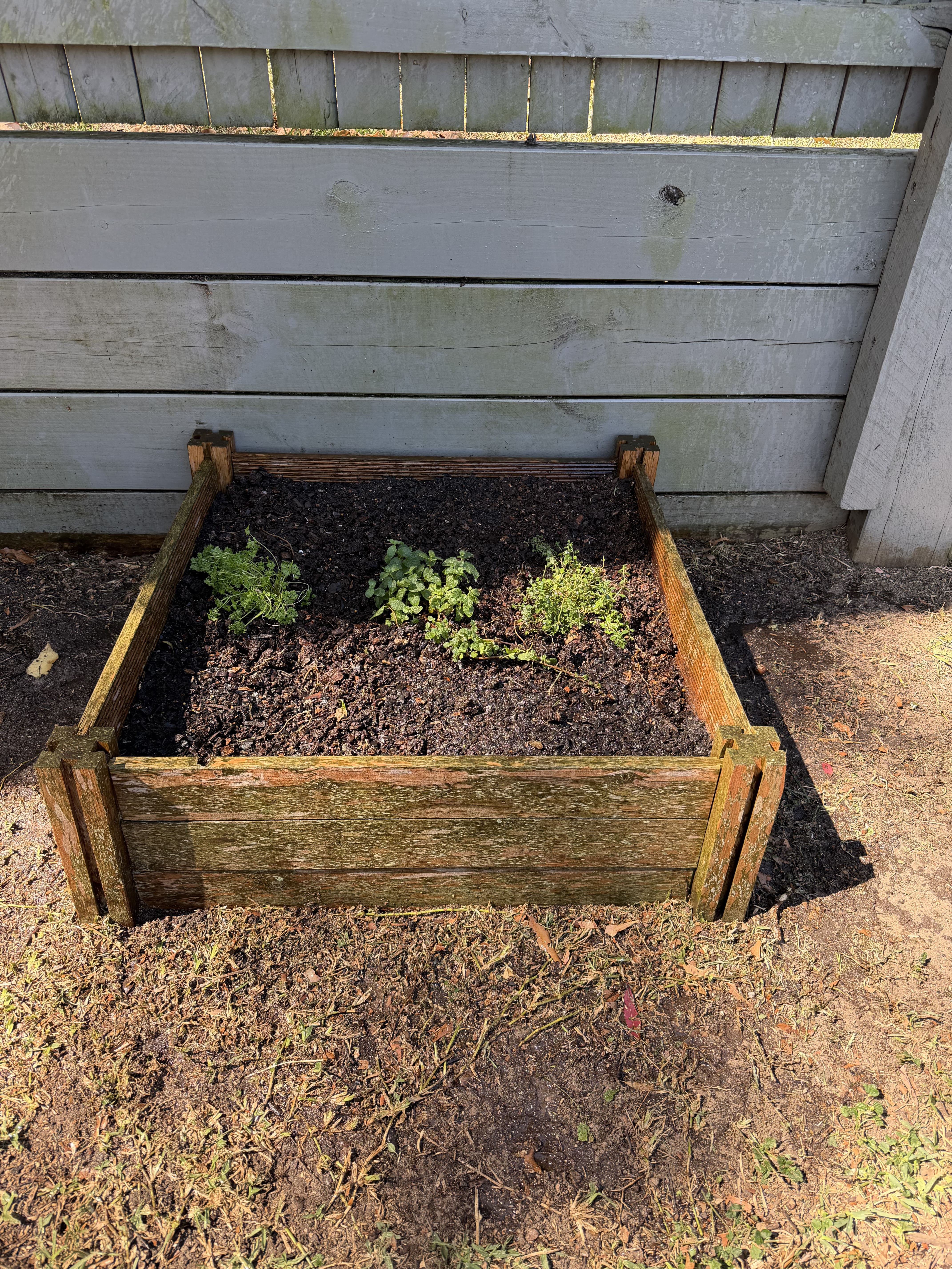 Commercial Gardening Brisbane
