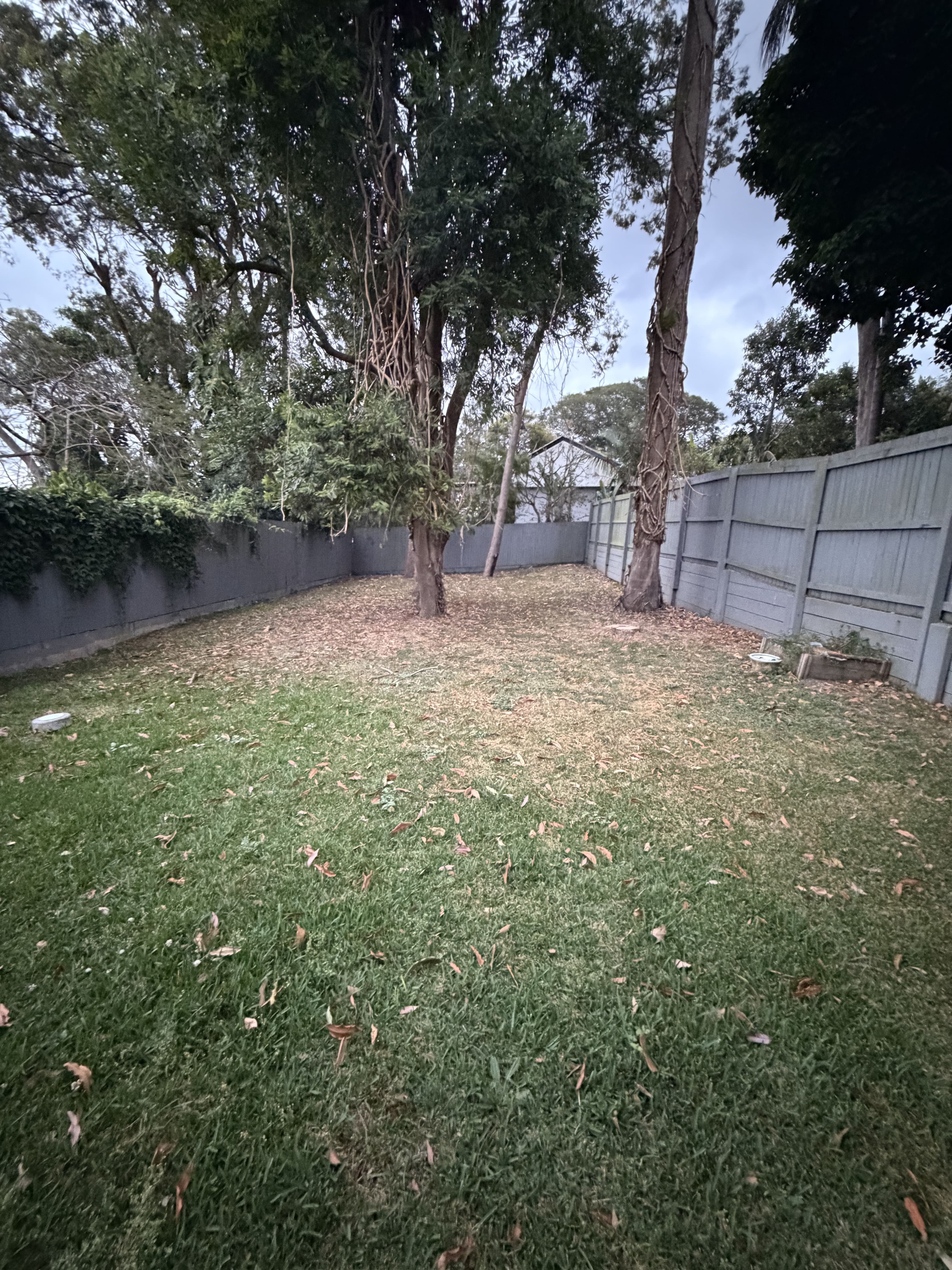 Lawn Mowing 