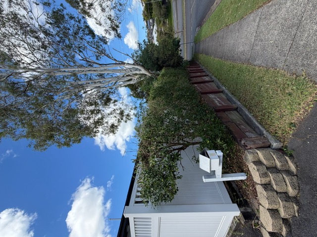 Trimming Brisbane