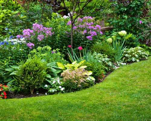  Home Gardening