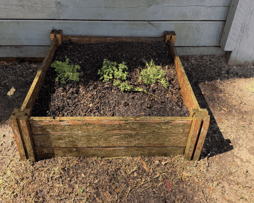 New Farm Home Gardening