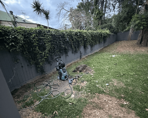 Bulimba Commercial Gardening