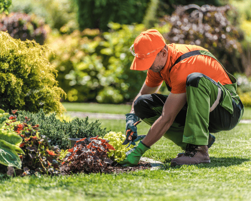  Home Gardening