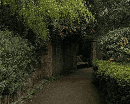  Home Gardening
