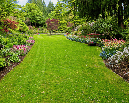  Home Gardening