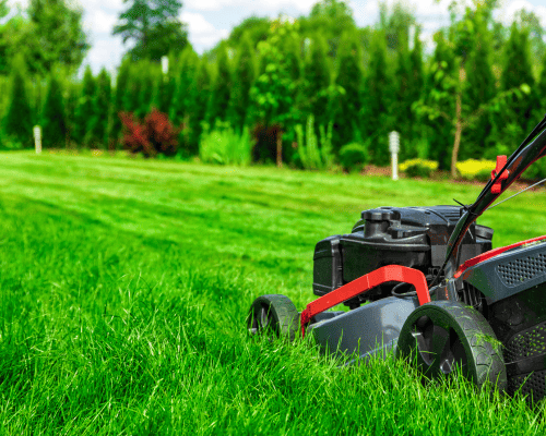 Home Gardening