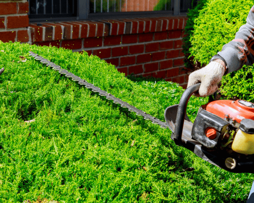  Home Gardening