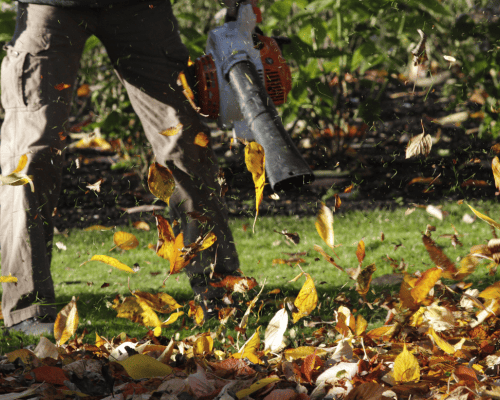  Home Gardening