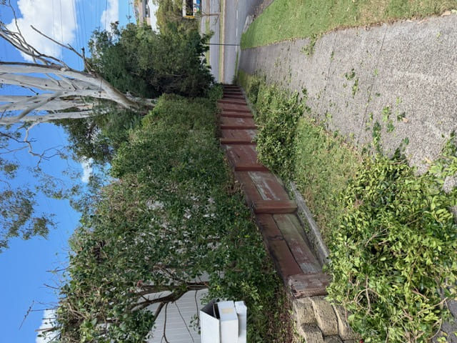 Trimming Brisbane