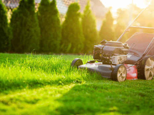 Lawn Mowing in Brisbane