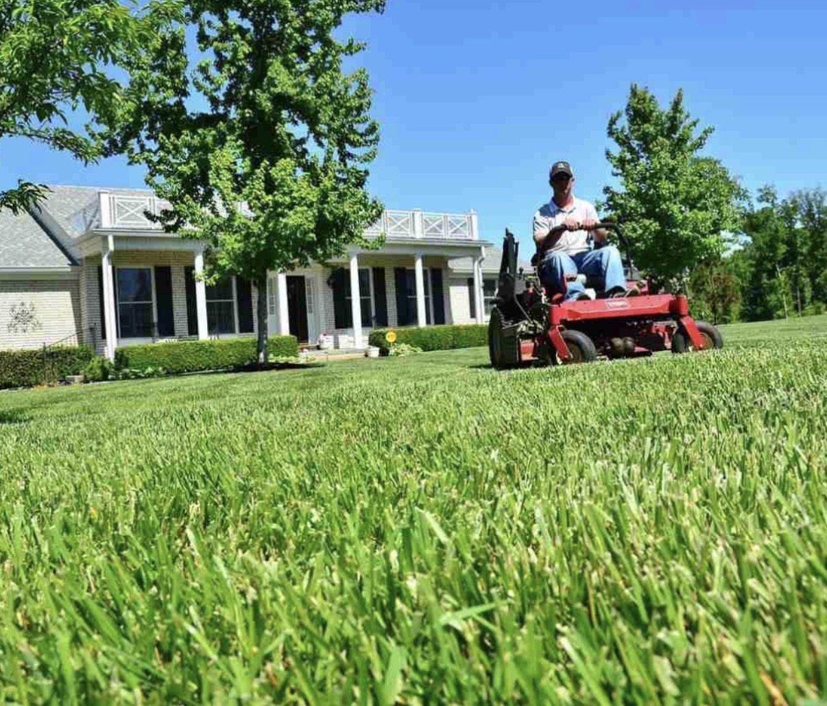 Southern Scapes landscaping and lawn care