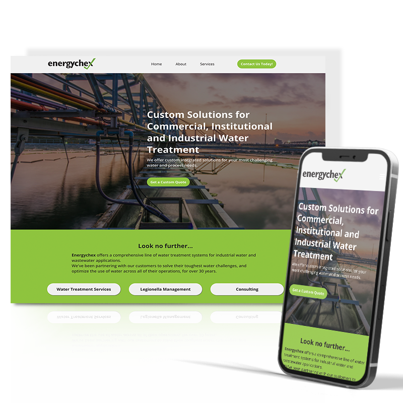 Energy Chex website design