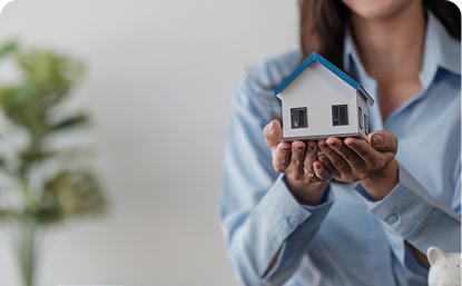 Understanding loan programs