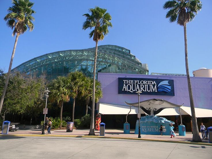 The Florida Aquarium & Channel side